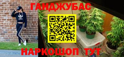 индика Беслан