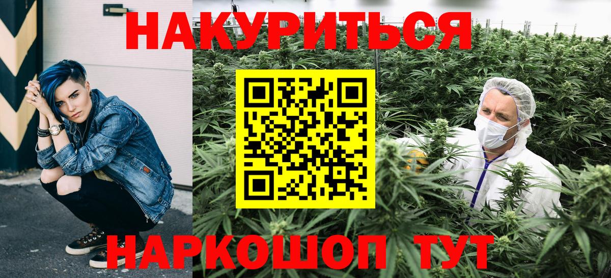 МАРИХУАНА сатива Киров